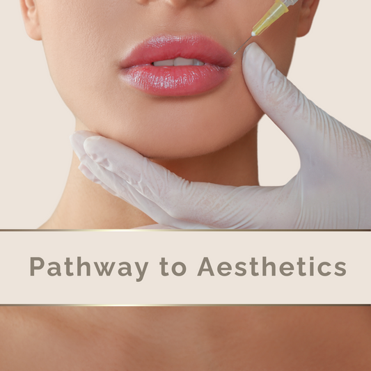 Pathway To Aesthetics Course